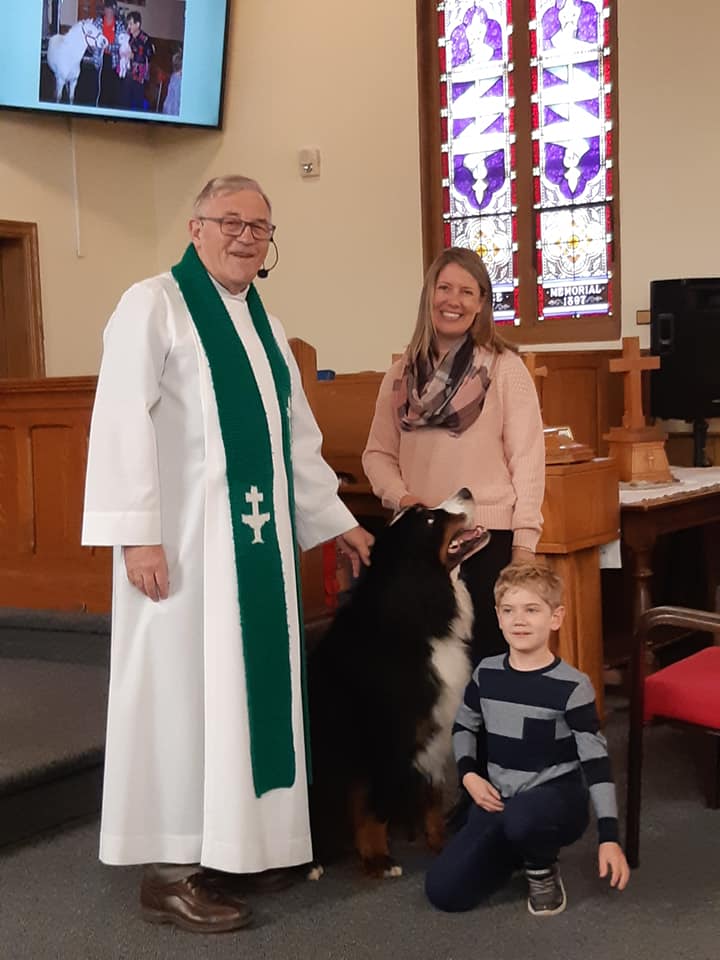 The Rev. Hollis Hiscock with a St. Bernard and many other pets.
